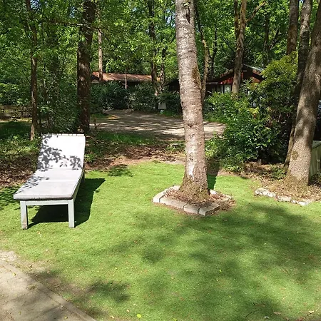 בקתה Chaletpark Kempenbos - 112 Diessen