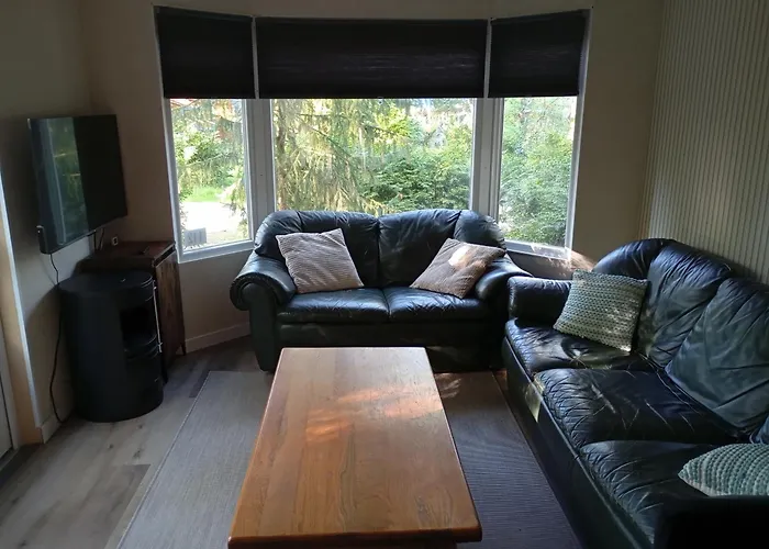 Chaletpark Kempenbos - 112